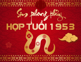 Sim phong thủy hợp tuổi 1953