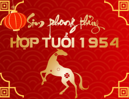 Sim phong thủy hợp tuổi 1954