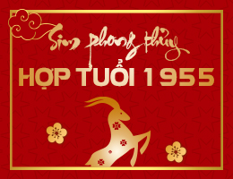 Sim phong thủy hợp tuổi 1955