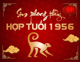 Sim phong thủy hợp tuổi 1956