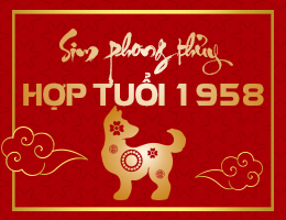 Sim phong thủy hợp tuổi 1958
