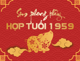 Sim phong thủy hợp tuổi 1959