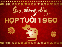 Sim phong thủy hợp tuổi 1960