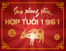 Sim phong thủy hợp tuổi 1961