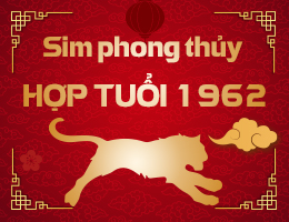 Sim phong thủy hợp tuổi 1962