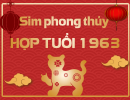 Sim phong thủy hợp tuổi 1963