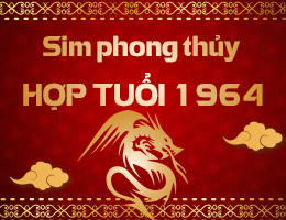 Sim phong thủy hợp tuổi 1964