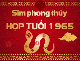 Sim phong thủy hợp tuổi 1965