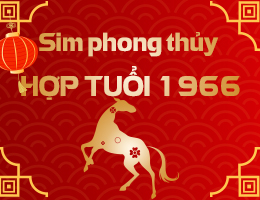 Sim phong thủy hợp tuổi 1966