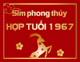 Sim phong thủy hợp tuổi 1967