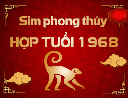 Sim phong thủy hợp tuổi 1968