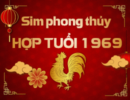 Sim phong thủy hợp tuổi 1969