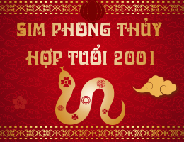 Tuổi 2001 hợp số điện thoại nào? #5 yếu tố chọn sim hợp tuổi 2001