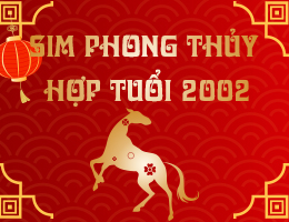 Hướng dẫn chọn sim hợp tuổi 2002 Nhâm Ngọ CHUẨN PHONG THỦY