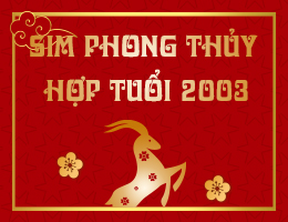 Bí Quyết chọn số điện thoại hợp mệnh Mộc 2003 Quý Mùi