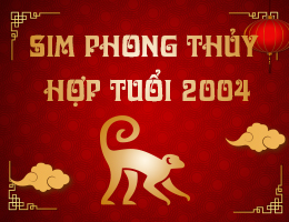 Sinh năm 2004 hợp số điện thoại nào? Tìm sim hợp tuổi 2004
