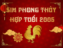 Sim phong thủy hợp tuổi 2005