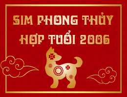 Tìm hiểu cách chọn số điện thoại hợp tuổi 2006