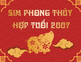 Sim phong thủy hợp tuổi 2007