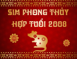 Sim phong thủy hợp tuổi 2008