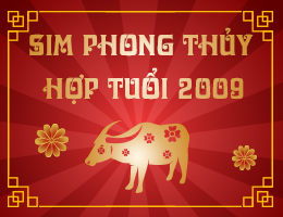 Sim phong thủy hợp tuổi 2009