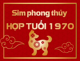 Sim phong thủy hợp tuổi 1970