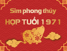 Sim phong thủy hợp tuổi 1971