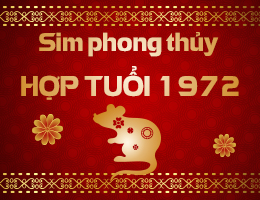 Số điện thoại phong thuỷ hợp tuổi 1972 Nhâm Tý