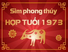 Tuổi Quý Sửu 1973 hợp số điện thoại nào?