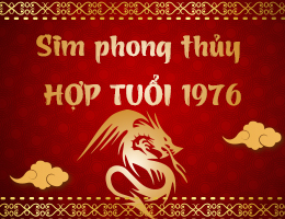 Sim phong thủy hợp tuổi 1976