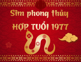 Sim phong thủy hợp tuổi 1977