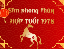 Sim phong thủy hợp tuổi 1978
