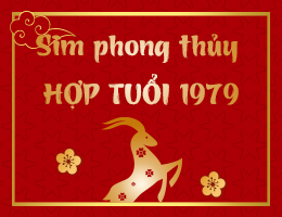 Xem sim hợp tuổi 1979 Kỷ Mùi
