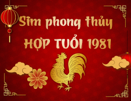 Tuổi Tân Dậu 1981 Hợp Với Số Điện Thoại Nào Đắc Tài Đắc Lộc