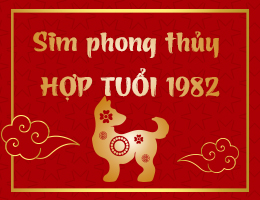 Chuyên gia giải đáp: Tuổi Nhâm Tuất 1982 hợp số điện thoại nào?
