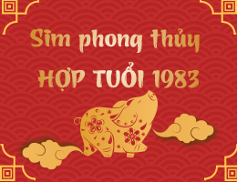 Sinh năm 1983 hợp số nào? Chọn sim hợp mệnh Thủy 1983 Quý Hợi