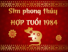 Bí Quyết Chọn Số Điện Thoại Hợp Mệnh Kim 1984 Từ Chuyên Gia