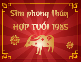 Sim phong thủy hợp tuổi 1985