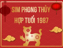 Sim phong thủy hợp tuổi 1987
