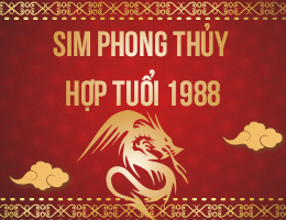 Cách chọn sim hợp mệnh mộc 1988 Mậu Thìn