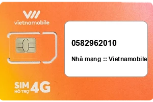 Sim Vietnamobile 0582962010 