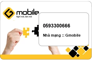 Sim Gmobile 0593300666 