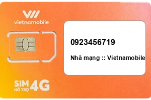 Sim Vietnamobile 0923456719 