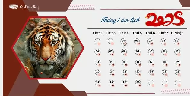 tử vi 2025 theo 12 tháng