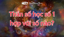 Số chủ đạo 1 hợp với số nào? Khám phá con số hợp với thần số học số 1