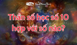 Số chủ đạo 10 hợp với số nào? Con số của người dẫn đầu