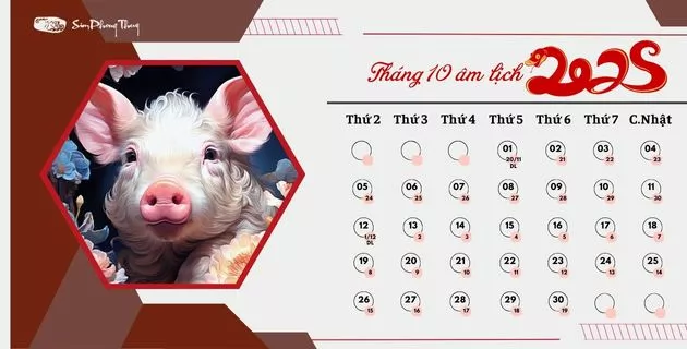 tử vi 2025 theo 12 tháng