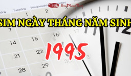 Sim ngày tháng năm sinh 1995