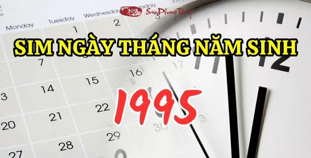 Sim năm sinh 1995