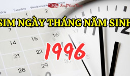 Sim ngày tháng năm sinh 1996
